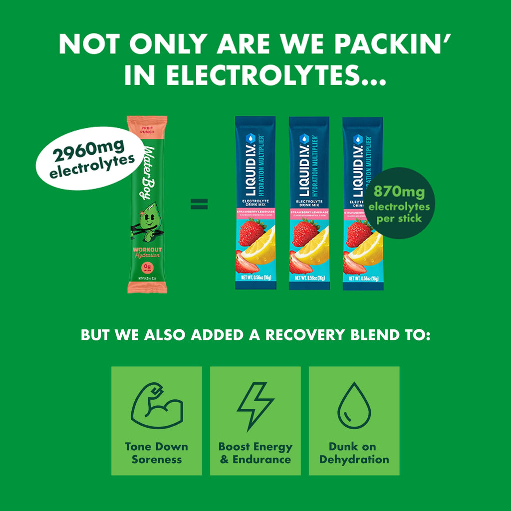 Waterboy - Workout Hydration, Variety Pack, Sugar Free Electrolytes Powder Drink Mix - 30ct Hydration Packets