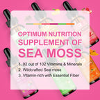 B BEWORTHS Sea Moss Liquid Drops - Black Seed Oil & Irish Sea Moss Gel with Burdock Root Bladderwrack, Elderberry, Spirulina, Seamoss Supplement for Energy Booster, Digestive Health - 4 Fl Oz, Vegan