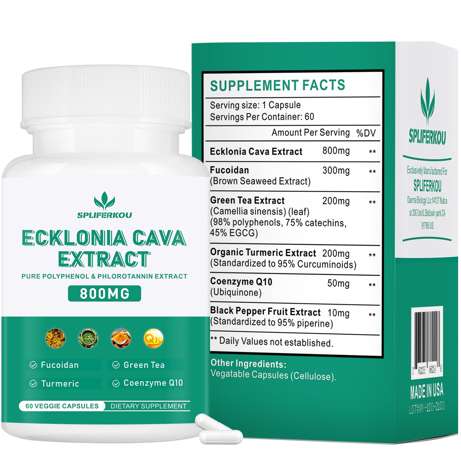 Spliferikou Ecklonia Cava Extract, 800mg, 60 Veggie Capsules with Fucoidan, Green Tea, Turmeric, CoQ10, Dietary Supplement