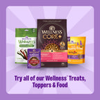 Wellness Old Mother Hubbard Classic Original Mix Dog Biscuits, Natural Training Treats, 4 Flavors, Small Size, 6 lb Bag