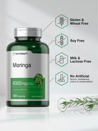 Horbäach Moringa Oleifera | 300 Powder Capsules | Non-GMO and Gluten Free Extract Formula | Complete Green Superfood