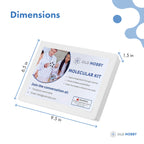 OLD NOBBY Organic Chemistry 239 Piece Model Kit - Molecular Model Kit with Atoms, Bonds, Instructional Guide, Bond Removal Tool, and Bonus Molecular Stencil