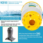 W28165 Mineral Cartridge Replacement Part Fit for Zodiac Nature2 A30 Cartridge, for Zodiac Nature 2 Above Ground A Vessels, for Pools Up to 30K Gallons (Except Limited), 2 Holes of Buttom