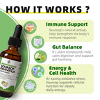 iMATCHME Soursop Graviola Liquid Drop for Cell Support & Regeneration, Immune System and Gut Health Support, Pure Soursop Bitters Liquid, High Absorption, Sugar/Gluten Free, Natural Flavor, 2 Fl Oz