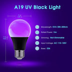 Briignite 3 Way LED Light Bulbs 50 100 150W Equivalent, 3 Way Light Bulbs, Three Way A21 Light Bulbs E26 Medium Base, Daylight White 5000K, 800lm-1400lm-2000lm, 4Pack