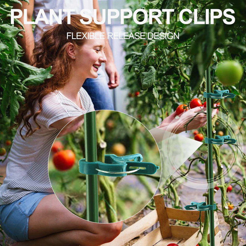 Yinghezu 120 Pcs Plant Support Clips,Tomato Plant Clips 2 Sizes in one Pack