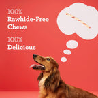 DreamBone Twist Sticks Rawhide-Free Dog Treats with Real Protein, 100 Count
