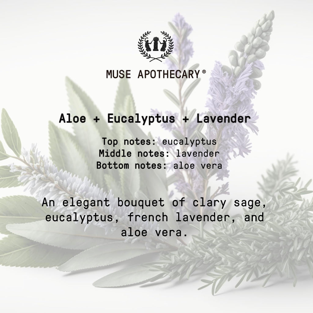Muse Apothecary Hand Ritual - Aromatic and Nourishing Hand Soap, Infused with Natural Aromatherapy Essential Oils - USDA Certified Biobased - 16 oz, Aloe + Eucalyptus + Lavender, 3 Pack