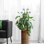 Xeeol 32.6in Plant Trellis for Climbing Plants Indoor, Expandable Large Metal Trellis for Potted Plants, Heavy-Duty Tall Pothos Plant Climber Support for Ivy Pothos Hoya Monstera, 4P