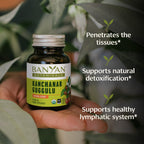 Banyan Botanicals Kanchanar Guggulu Tablets – Organic Lymph Supplement with Guggulu Resin – Promotes the Healthy Elimination of Natural Toxins* – 90 Tablets – Non-GMO Sustainably Sourced Vegan