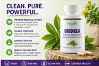 Paradise Herbs Rhodiola Extract 500mg, Super Potent Antioxidant, Ultra Pure, Vegan, Non-GMO, Gluten Free, 60 Vegetarian Capsules