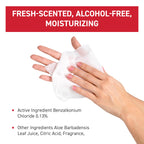 WipeEssentials Hand Sanitizer Hand Wipes for Adults and Kids - 360 wipes - 12 Packs of 30ct Hand Sanitizing Wipes, Travel Essentials