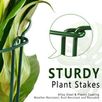 6 Pack Plant Support Stakes, 15.8" Half Round Metal Garden Plant Supports for Indoor Plants, Green Plant Cage Ring for Monstera, Peony, Hydrangea, Potted Plant Holder Sticks (10" Wide)