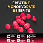 Nutravita NSF Certified Creatine Gummy - Creatine Monohydrate Gummies for Men & Women-5g of Creatine Monohydrate per Serving - Sugar Free,Vegan, Cherry Flavor, 120 Count