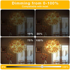 DAYBEETER 24 Pack Dimmable G9 LED Bulb 4W (40 Watt Equivalent), 3000K Soft Warm White, G9 Halogen Bulb,T4 G9 Bi-pin Base Light Bulbs for Chandelier,120V 450LM 360 Beam Angle No-Flicker G9 Bulb