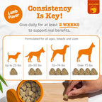 Zesty Paws Dog Allergy Chews - Dog Allergy Relief, Lamb, 90 Ct