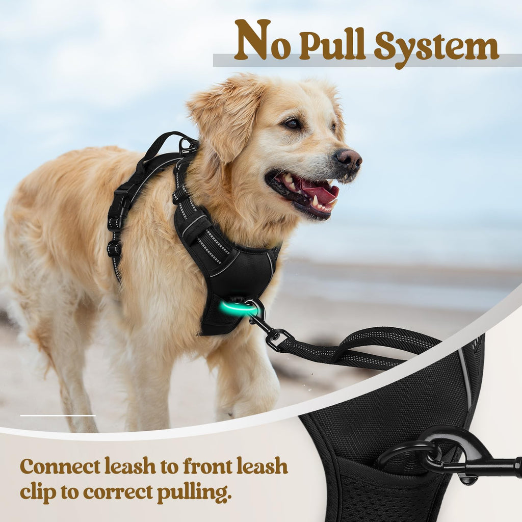 rabbitgoo Dog Harness, No Pull for Large Dogs with 2 Leash Clips, Pet Vest