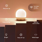 LIFX White A19 WiFi Smart LED Light Bulb, Dimmable, No Hub Required, Works with Alexa and Apple Home Kit, Hey Google, 2700k Warm White, 650 Lumens, 25,000-hour Lifetime, L3A19LW06E26US/12, 12 Pack