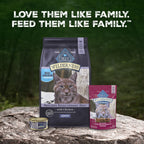 Blue Buffalo Wilderness Chicken Adult Dry Cat Food, Grain-Free, 6 lb