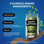 Healthbiotics Sulforaphane Supplement Organic Broccoli Sprouts | Stabilized Sulforaphane from Broccoli Florets & Seeds | Organic Sulfur Supplements 120 Pills | 1 Pack