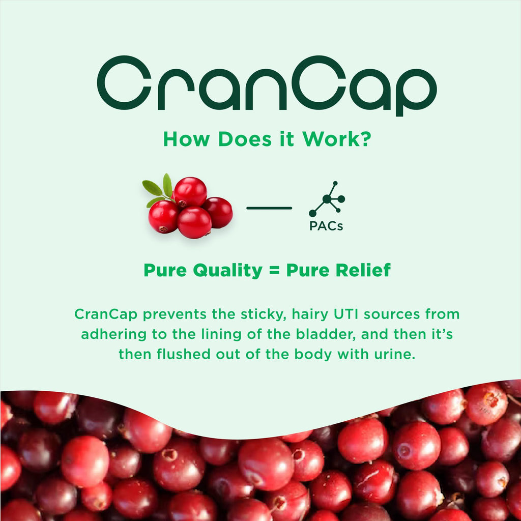 CranCap Cranberry Pills for Urinary Tract Health - 90 Count, 36mg of Potent PACs - Cranberry Extract Helps Cleanse & Protect The Urinary Tract from A UTI - Non-GMO, Vegan and Gluten-Free