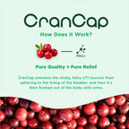 CranCap Cranberry Pills for Urinary Tract Health - 90 Count, 36mg of Potent PACs - Cranberry Extract Helps Cleanse & Protect The Urinary Tract from A UTI - Non-GMO, Vegan and Gluten-Free