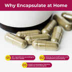 ATLEMISME Empty Gelatin Capsules Size 2 - Gelatin Capsules Empty (1000 Count) Empty Capsules DIY Gelatin Capsule Filling - Gel Capsules Empty Caps with 2 Micro Lab Spoons for Capsule Filling