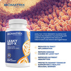 BioMatrix Leaky Gut Repair Supplement w/Glutamine, Quercetin, Cat's Claw, MSM, SIBO, Prebiotic Support, Intestinal Barrier Revive for Men and Women | 60-Day Supply – Leaky Gut-X