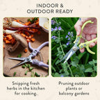 Modern Sprout Pruning Shears- Garden Snips-Herb Scissors- Chartreuse 1-Pack