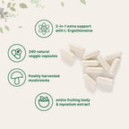Micro Ingredients Lions Mane Supplement Capsules, 240 Veggie Capsules with L-Ergothioneine, 4 Month Supply | Non-GMO