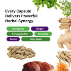 Paradise Herbs, Imperial Adaptogens, with Ashwagandha, Astragalus, Rhodiola, Proprietary Adaptogen Blend for Stress Support, Focus & Energy, 60 Vegetarian Capsules