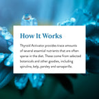 Nature's Sunshine Thyroid Activator 100 Capsules