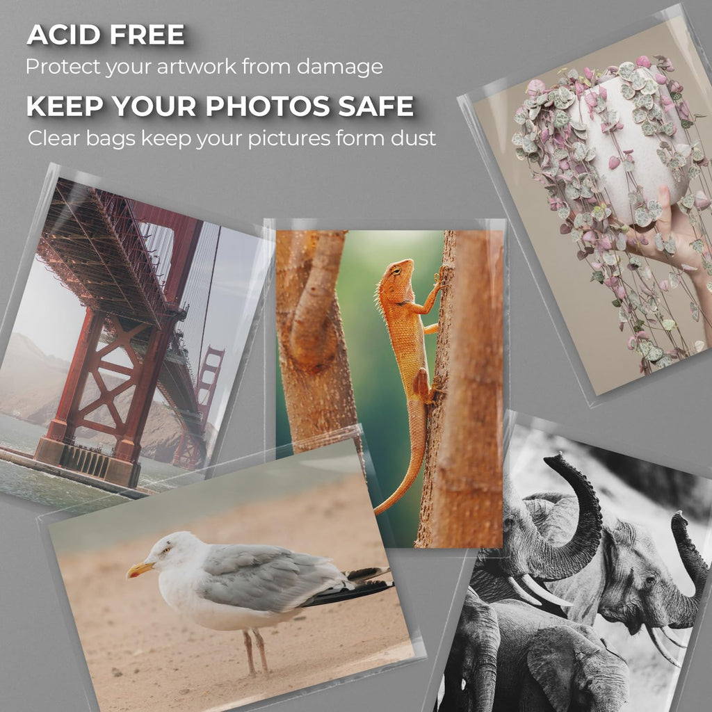 Frametory, 18 3/8" x 24 1/8" Acid-Free Clear Plastic Bags, Self Seal Crystal Photo Sleeves for 18x24 Art Prints, Pictures & Framing Mat Mattes - 25 Pack