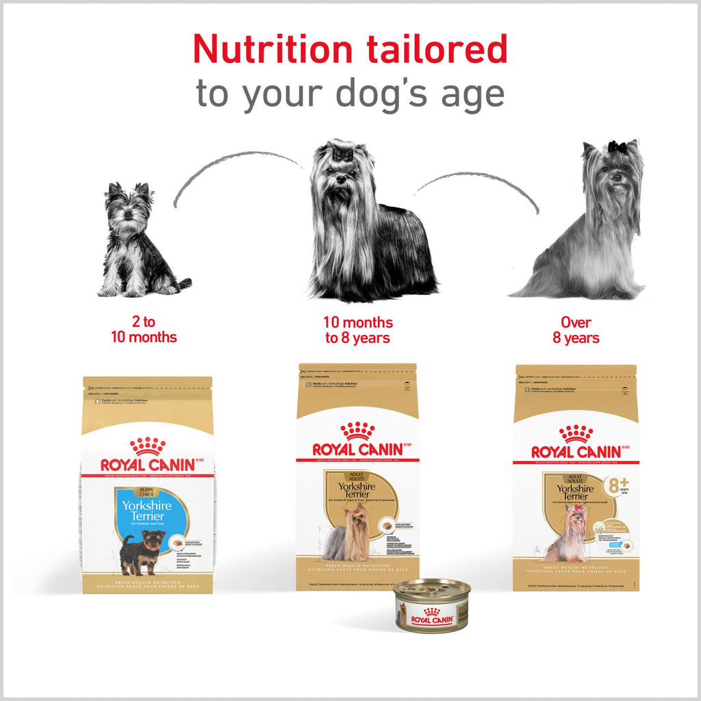 ROYAL CANIN Yorkshire Terrier Adult Dry Dog Food, 2.5 lb Bag