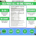 16 In 1 Sea Moss Gummies — US-Made, 3X Potent Seamoss Gummies for Men and Women with Black Seed Oil, Ashwagandha, Burdock, and More — Supports Immunity, Energy & Vitality (30-Day Supply, 60 Gummies)
