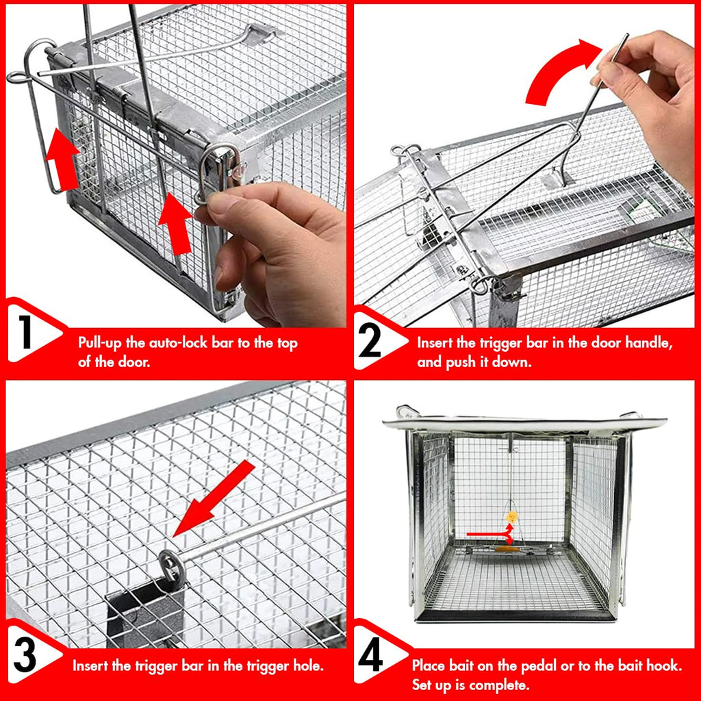 Chipmunk Trap -2 Pack, Squirell and Rat Trap Cages that Works, Humane Mouse Trap for Home | Catch and Release | Reusable and Durable | No Kill Animal Trap | for Inside Home and Outdoor Use