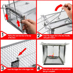 Chipmunk Trap -2 Pack, Squirell and Rat Trap Cages that Works, Humane Mouse Trap for Home | Catch and Release | Reusable and Durable | No Kill Animal Trap | for Inside Home and Outdoor Use