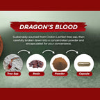 Vital Planet - Dragon's Blood Resin Extract Croton Lechleri Sangre de Drago (Sangre de Grado) Digestive Health Supplement Sustainably Sourced from Amazon Rainforest of Peru, 500mg 60 Capsules