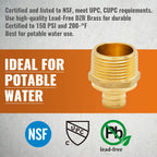 SUNGATOR 3-Pack PEX 3/4" x 1" NPT Male Threaded Adapter Crimp Fitting, No Lead Brass