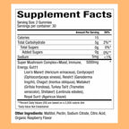 WonderDay Extra Strength Mushroom Gummies – Sugar Free Lion’s Mane, Cordyceps, Reishi & Chaga Supplement for Adults – Mood Boost, Energy, Focus, Immune Support & Gut Health – Vegan, Non-GMO (60 Count)