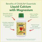 CHILDLIFE ESSENTIALS Liquid Calcium Supplement for Kids - Baby Calcium with Magnesium, Zinc, and Vitamin D3 - Orange Flavor, 16 fl oz (1 Pack)