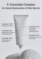 celimax Dual Barrier Skin Wearable Cream | Long Lasting Cream Face Moisturizer with Ceramides, Hyaluronic Acid, Moisturizing, Hydrating, Soothing, Repairing, Day & Night Cream, 50ml