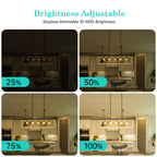 AMDTU Vintage E26 LED Edison Bulb 40W Small Globe 2700K Soft White Frosted Dimmable 40 Watt Warm G45 Medium Standard Base Bulbs Ideal for Home Lighting Fixtures Create Cozy Ambiance in Bedrooms