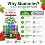 Sugar Free DGL Stomach Smoother Gummies with DGL Licorice, Slippery Elm, Marshmallow Root, Aloe Vera, Probiotic & Prebiotic Fiber, Ginger, Mastic Gum, L-Glutamine, Zinc Carnosine, Digestive Support