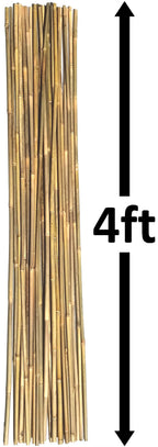 Dlh Western Natural Bamboo Poles, Eco-Friendly Plant Support Garden Stakes 4ft Long, Diameter of 3/8" (25-Count)