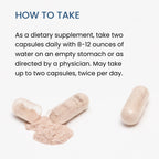 The Wellness Company Spike Support - Detox, Immune Health, Blood Flow, Anti-Clotting - Nattokinase, Dandelion Root, & Black Sativa | 120ct (2 Month Supply)