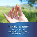 Probiotic Pearls Acidophilus Once Daily Probiotic Supplement, 1 Billion Live Cultures, Survives Stomach Acid, No Refrigeration, 90 Softgels (Packaging May Vary)