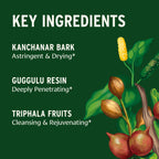 Banyan Botanicals Kanchanar Guggulu Tablets – Organic Lymph Supplement with Guggulu Resin – Promotes the Healthy Elimination of Natural Toxins* – 90 Tablets – Non-GMO Sustainably Sourced Vegan