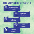 CoQ10 600mg Softgels | High Absorption CoQ10 Ubiquinol Supplement | Reduced Form Enhanced with Vitamin E & Omega 3 6 9 | Antioxidant Powerhouse Good for Health| 60 Softg