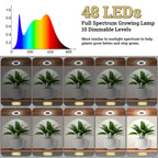 SIYOMG Ceiling Grow Lights for Indoor Plants, 192 LEDs Full Spectrum Halo LED Plant Light, with 3/9/12H Auto Timer Switch, 3 Colors,10 Dimming, Plant Lights for Small Plants, 4 Head